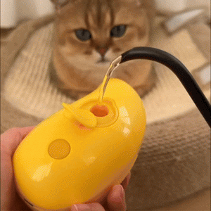 CEPILLO VAPORIZADOR PARA MASCOTAS